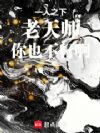 һ֮£ʦҲа