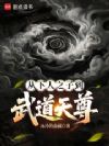从下人之子到武道天尊
